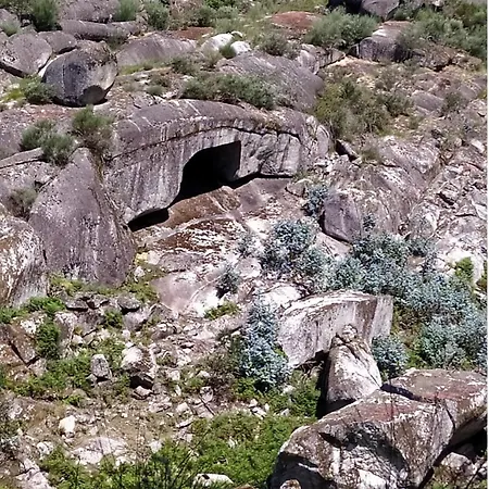 Appartement Canastro Do Loureiro Anisso