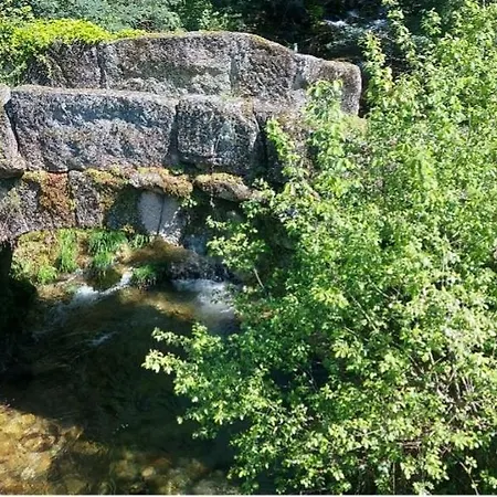 Canastro Do Loureiro Appartement