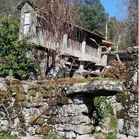 Canastro Do Loureiro Anisso