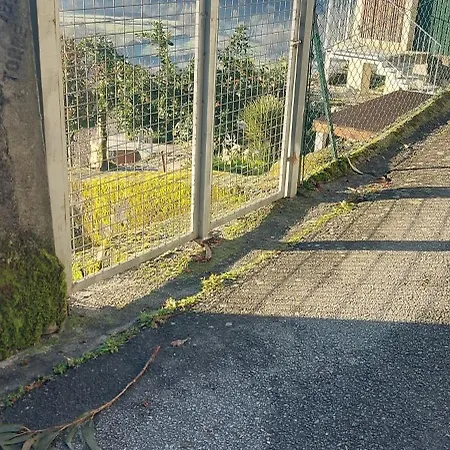 Canastro Do Loureiro