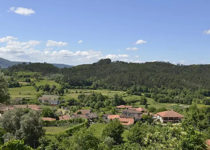 Canastro Do Loureiro Anisso