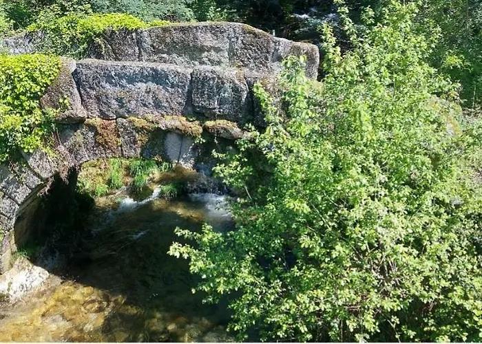 Canastro Do Loureiro Daire