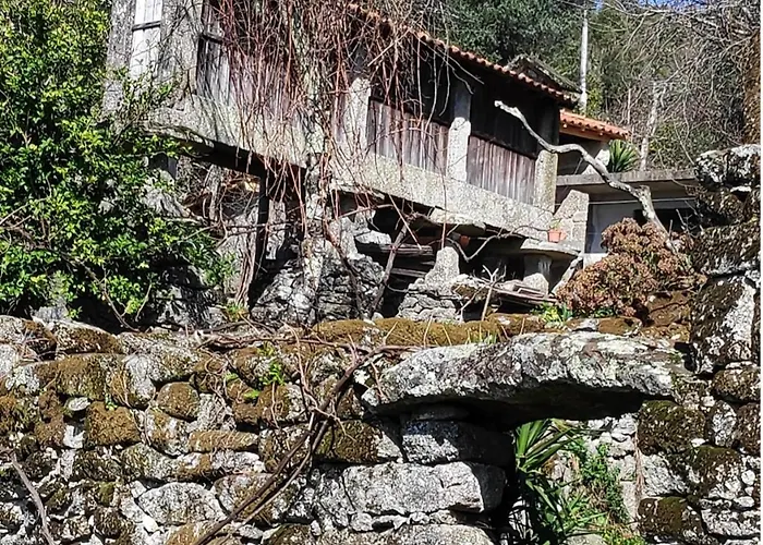 Canastro Do Loureiro Anisso